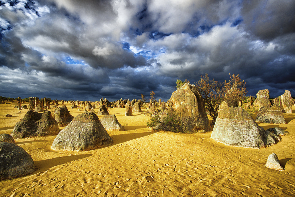 10. Platz Peter Marion